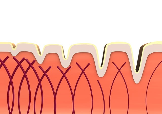 Rejuvenece el cuerpo con colágeno