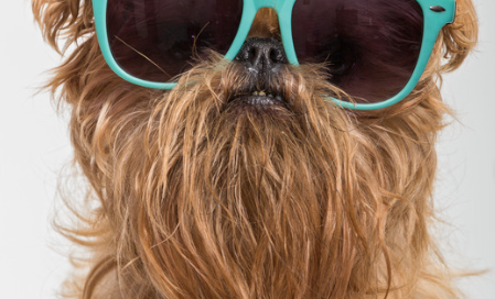 Gafas biohacker