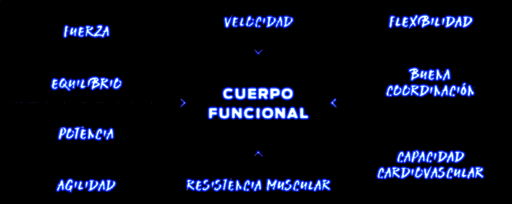 cuerpo funcional calistenia y biohacker