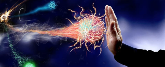salud inmunológica biohacker